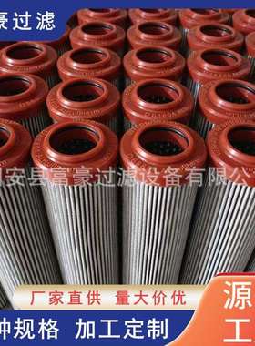 300073 01.E60.10VG.30.E.P直供过滤器液压油滤油器滤芯压力过滤