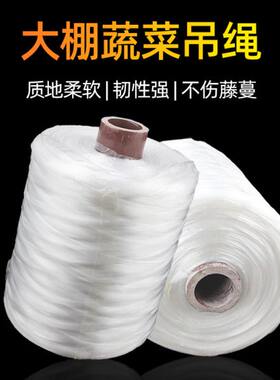 大棚吊绳线蔬菜吊蔓绳西红柿专用吊秧绳配件夹子绳子辣椒黄瓜绑蔓