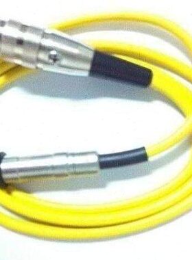 时原装线黄色F1涂层测厚仪/测代2700探头 26进口TT代头 时TT/探头