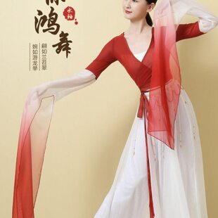 舞鸿表上衣惊演出服百搭女袖 古典舞艺考 练习服甩舞蹈练功服水袖