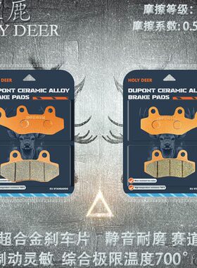 GT250耐磨版年刹车片碟刹片2024R无极Play隆鑫陶瓷烧结适用S款