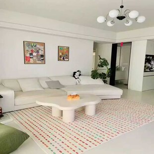 奶油风客厅地毯多巴胺沙发茶几毯Bins风大面积卧室床边儿童房定制