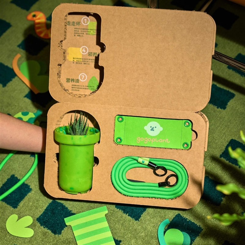 走走植纸包装蜂窝纸板瓦楞纸板定制包装盒定做礼盒水杯包装礼盒