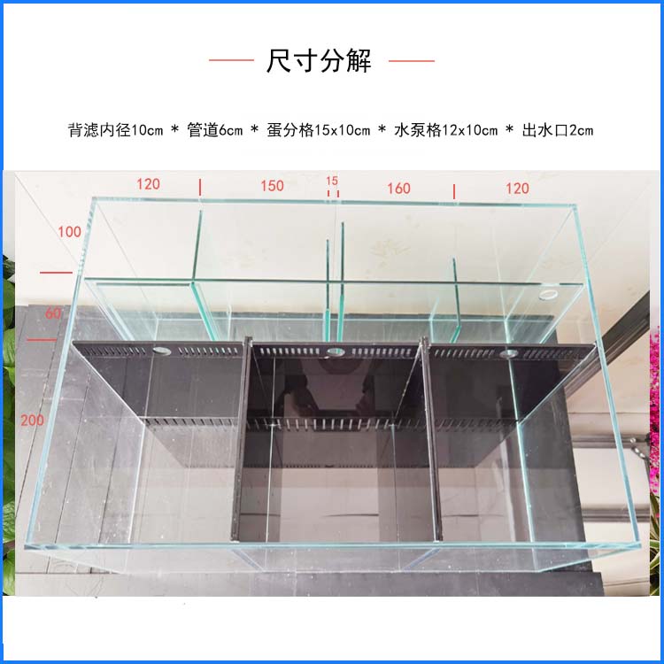 小丑繁殖缸/海缸背滤/小型海水缸/ 金晶超白/珊瑚小丑鱼/水族箱