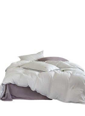 春树上韩系简约全棉双层纱紫色床单四件套纯棉柔软被套ins风床品