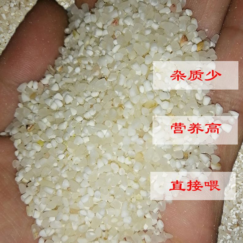 饲料喂打窝牛米狗斤碎动物米20饲养鸟禽家酿鸡包邮猪0碎钓鱼鹅鸭