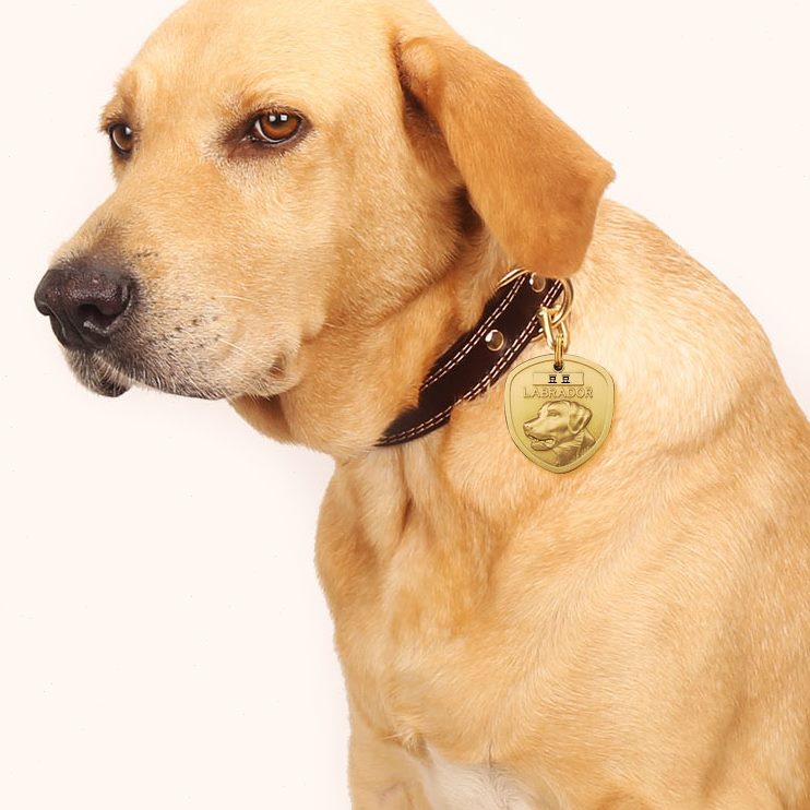 大型犬名牌泰迪拉布拉多法斗金毛刻字柯基纯铜防丢狗牌身份牌定制