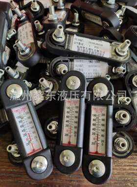 FL69221 12250123 9268765 SAB.1562.10.NPT 934331液位计滤芯