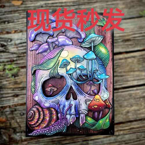 跨境 Skull and Nature Hidden Key Box紫色骷髅盒钥匙箱家居木盒