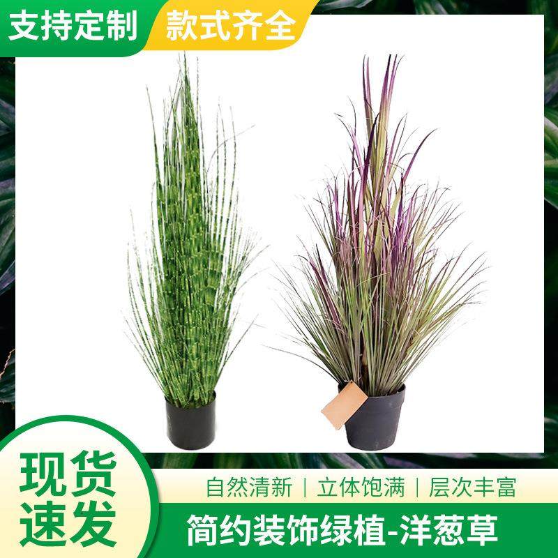 洋葱草盆景 桌面装饰品 植物仿真洋葱草盆栽,鲜花速递/花卉仿真/绿植园艺,割草机/草坪机,淘宝优惠券,粉丝福利购,淘宝优惠卷