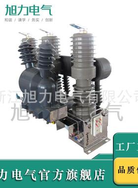 ZW32-12F真空断路器10KV电动 带PT柱上ZW32-12F/630A开关