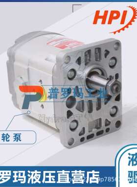 原装法国HPI高压齿轮泵P1BAN3050HL10B03N C5078176国产代替油泵
