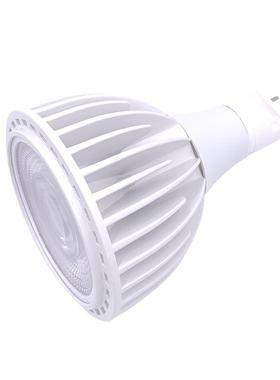 led g12 par30 15W 20W25W30W 85-265V服装店 珠宝店轨道投光射灯