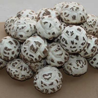 出口天白花菇干货高品质大花菇剪脚冬菇量大从优肉厚蘑菇厂家直销