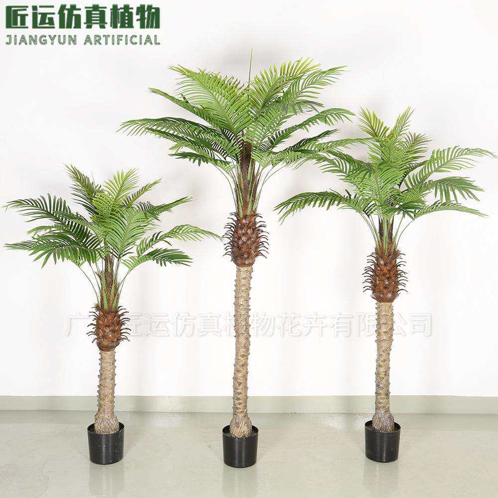 室内软装大型仿真针葵树植物盆栽 塑胶杆针葵树造景葵树仿生植物