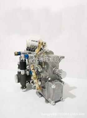 喷油泵4QTD482 4QTD483和4QT566BC和4QD431和4QD431T和4QT257bz-1