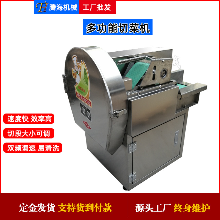 苦瓜黄瓜切片机 小型全自动芹菜蒜苔豆角切段机 双调速白菜切丝机