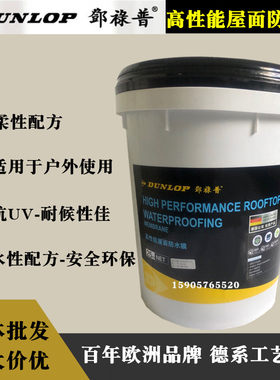 邓祿普高性能屋面外n墙屋顶阳台防漏室外柔性白色丙烯酸防水膜涂