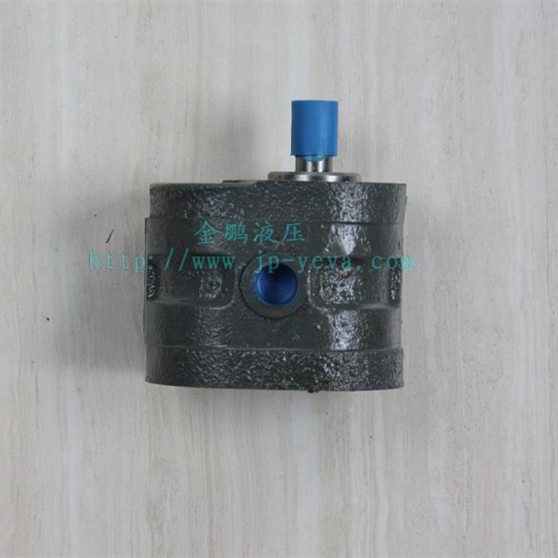 HY01齿轮油泵fHY01-3X5HY01-5X10HY01-8X15HY01-12X20