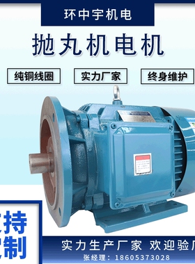 抛丸头电机抛丸机Y2160L-2/18.5KW电动机大功率变频节能高效