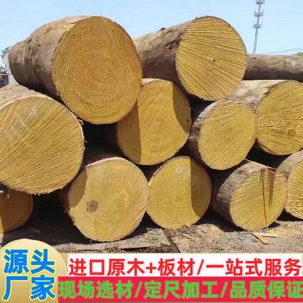 进口巴蒂木 非洲巴蒂原木 巴蒂规格木板材 黄硬木地板木料 黄乳木