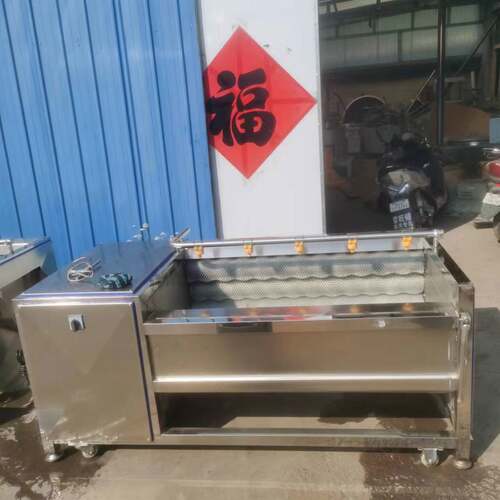 带毛芋头喷淋清洗机 多型号刺梨青柑毛辊清洗去皮机