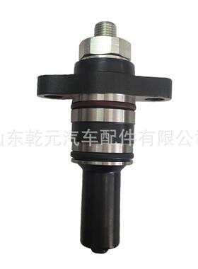 高压油泵柱塞 F019D03313 柴油泵柱塞总成