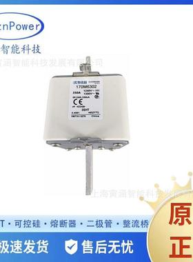 170M6301 170M6302 170M6303高压熔断器保险丝底座电网电子元器件