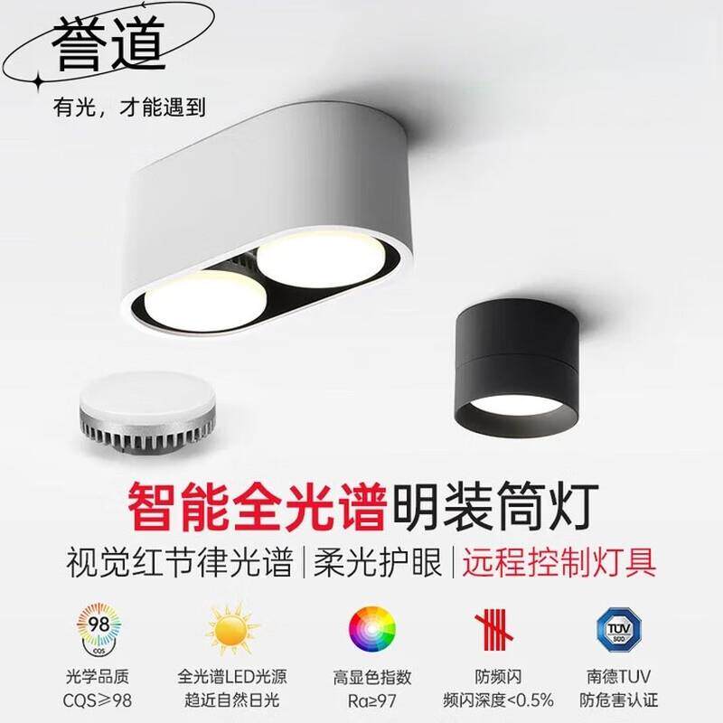 誉道明装双头筒灯椭圆形盒子灯玄关过道筒灯可换光源单头入户泛光