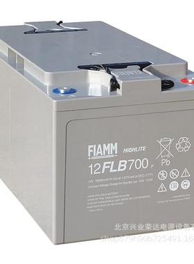 非凡FIAMM蓄电池12FLB350/12V90AH型号12FLB400/12V100AH铅酸电池
