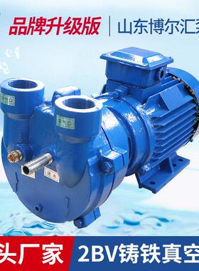 2BV水环式真空泵2BV2071真空泵铸铁不锈钢抽气泵淄博厂家