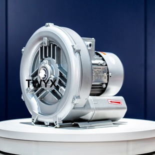 气泵 1真空吸料用旋涡高压风机0.75KW洗瓶机风干工业旋涡式 41D