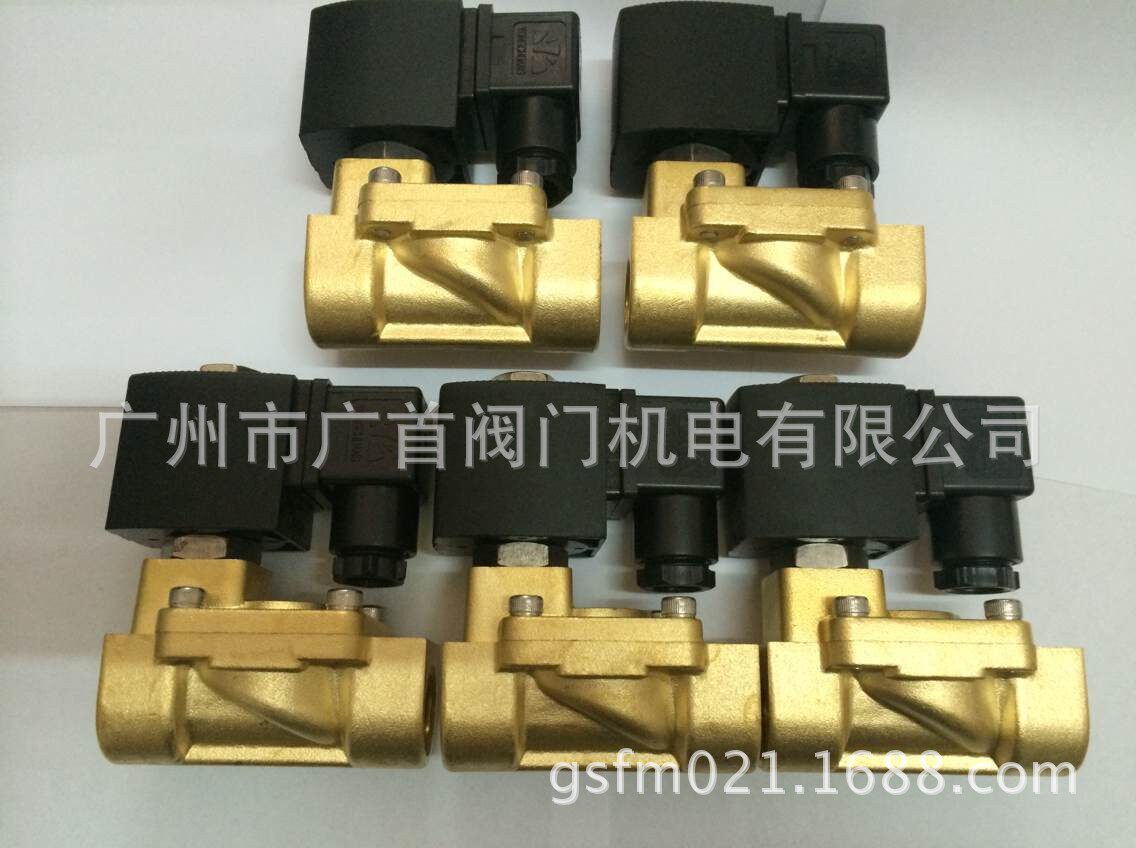 YCD22常开先导式脉冲电磁阀膜片式水处理电磁阀AC220V/DC24V