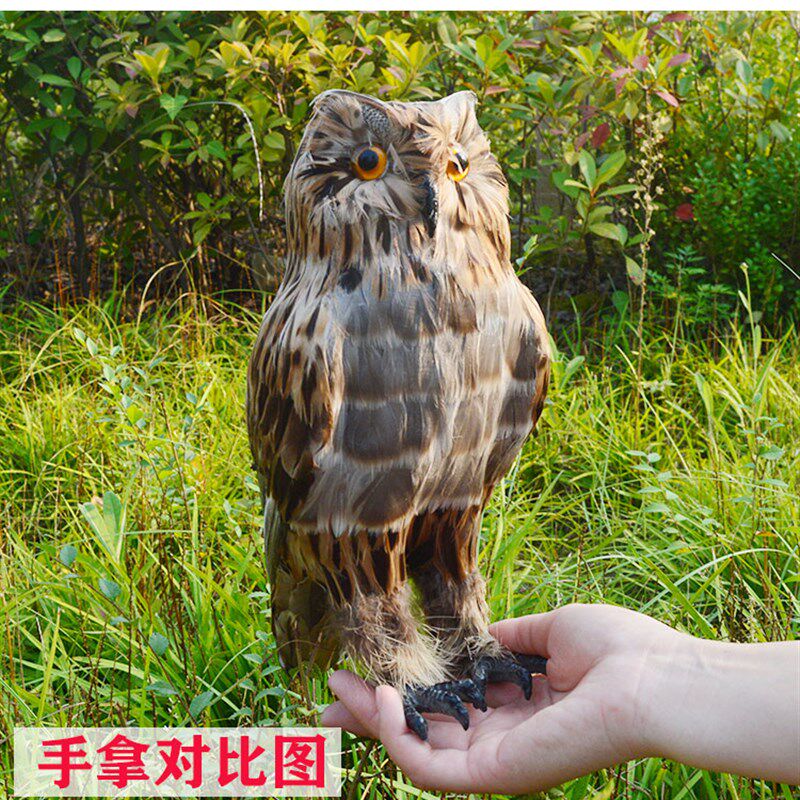 仿真猫头鹰动物模型吓鸟工具真羽毛鸟类饰品摆件庭院超市森林道具