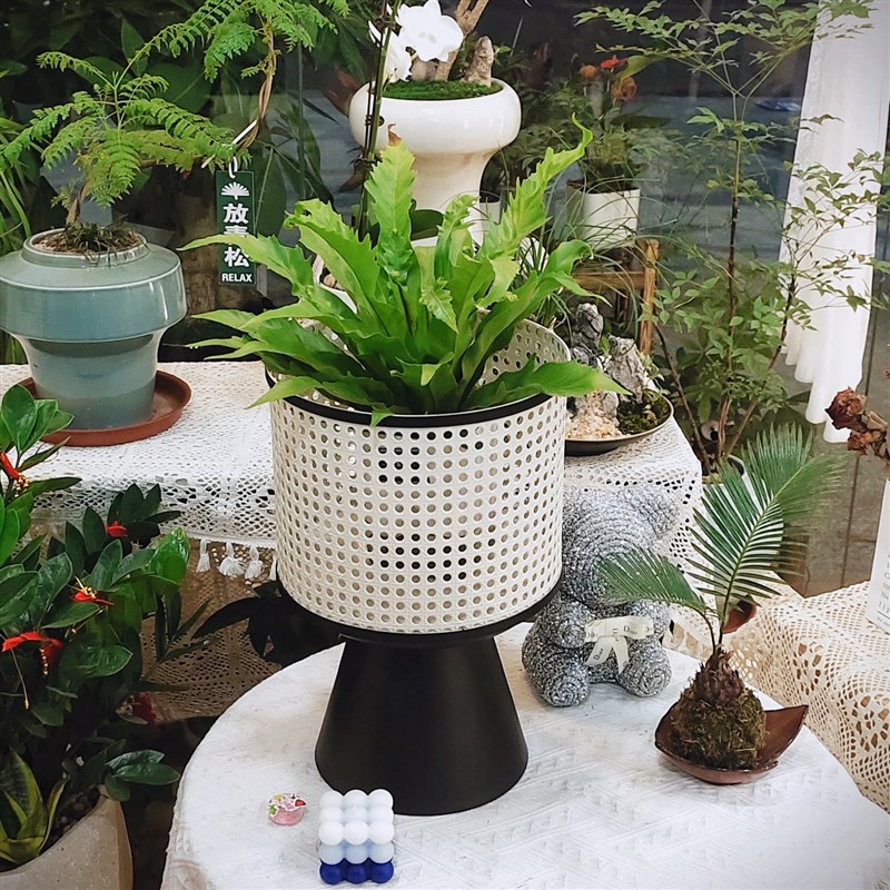 简约铁艺客厅艺术花架极简约现代仿藤编现代客厅移动金色花盆移动