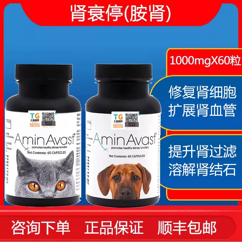 狗狗肾衰停胺肾调节养护肾炎肾损伤完善肾功能不全舒缓尿结石尿频