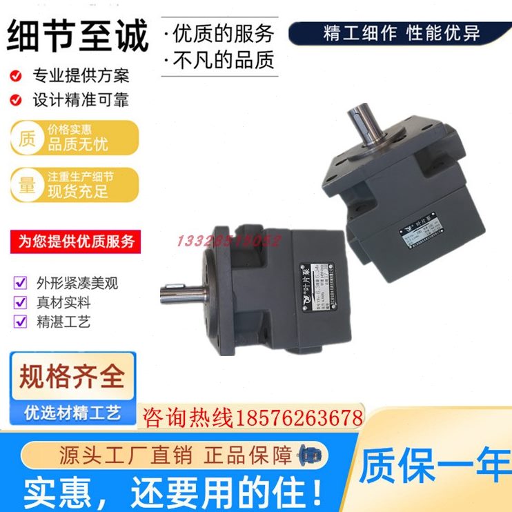 5254//640仙3./16/叶片泵1032/83//10Y//B//2.50-10.//5012居206