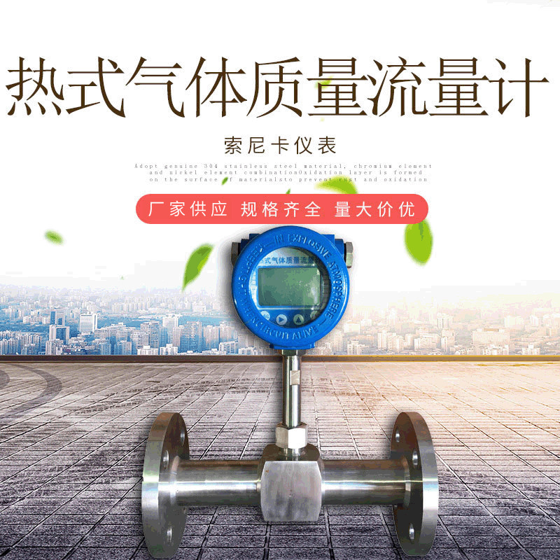 供应沼气流量计 智能小流量气体流量计  液化气流量计 氢气流量计