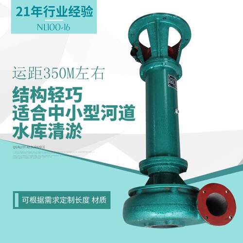厂家直销 耐磨铸铁NL100-16 立式泥浆泵 污水泵重工自吸变频