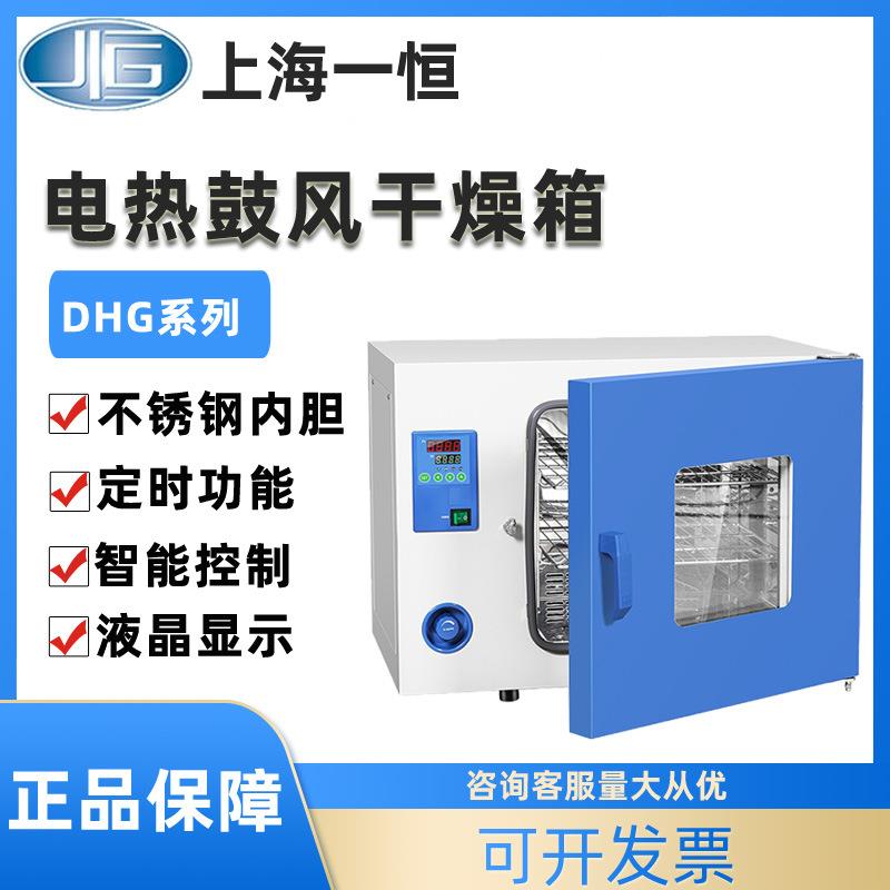上海电热恒温鼓风干燥箱DHG-9015A烘箱00度工业烤箱烘干机