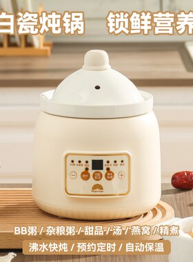 婴儿专用煮粥锅宝宝煮粥专用锅迷你小电炖锅bNb煲辅食锅电煮锅儿
