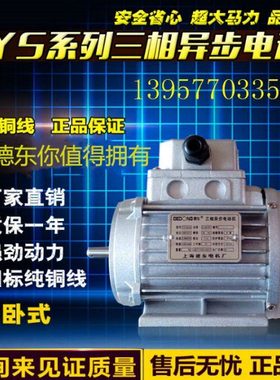 纯铜国标德东三相异步电动机YS8024/380V/0.75KW/转速/1400r/min