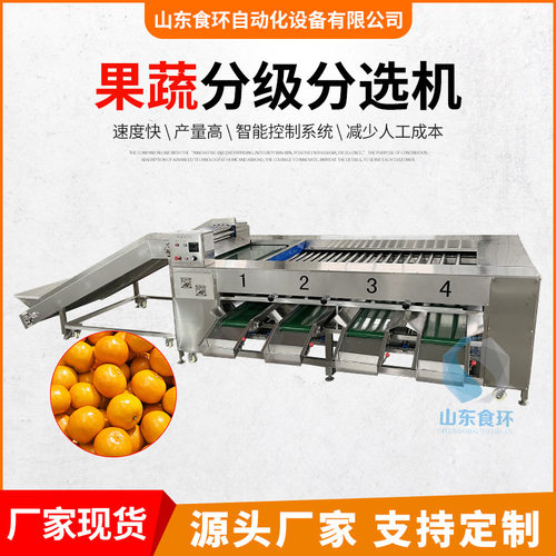 滚杠石榴分级机 水果全自动土豆荔枝分级机 小番茄重量分选机