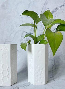 J纹浮雕干花欧美出口简约水培花园艺工具  L瓶白色花器陶瓷笔筒盆
