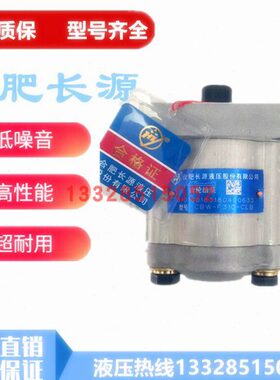 /FF3108源/F30WCL30/AF长30/F-632齿轮泵B3/FB30C-FB16合肥/F14/4