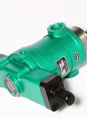 32/上海-/C10/丹0/锦250B164025Y0轴向柱塞泵/81/6/Y10/0314