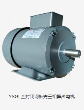 YSGL8024-A1 全封闭钢板壳三相异步电机 上海金陵雷戈勃劳伊特电