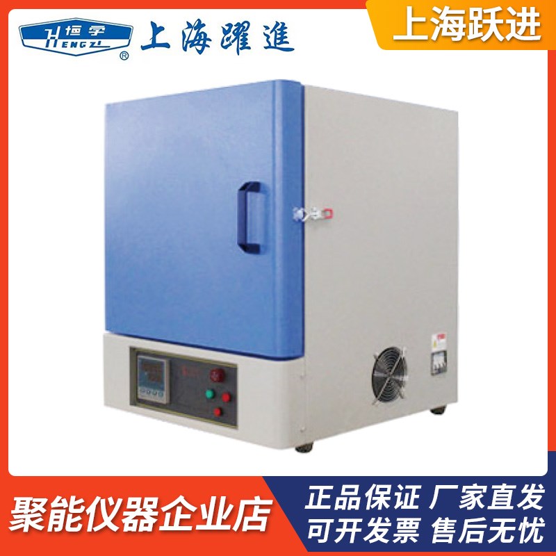 上海跃进( HENGjZI)SX2-4-10G/SX2-8-10T箱式电阻炉马弗炉高温炉