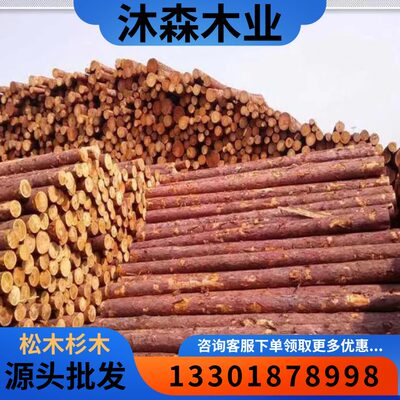 汛落叶松桩赤松河道打桩桩河道打桩防杉木木桩松木木绿化木支撑杆