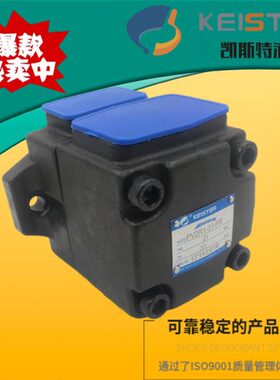 2ST V2RV2V2RP23凯斯特12113IPV2V2 KER ER叶片泵V2P21PRP RR22 P